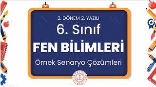 6. Sınıf Fen Bilimleri 2. Dönem 2. Yazılı Örnek Senaryo Çözümleri