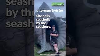 She sells seashells by the seashore  Can YOU say this Tongue Twister as quickly as I can?