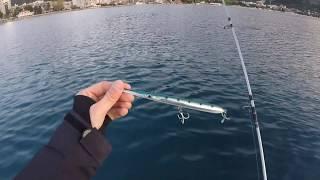 Montenegro Spinning - Jack Fin Stylo 210 - Bluefish attack