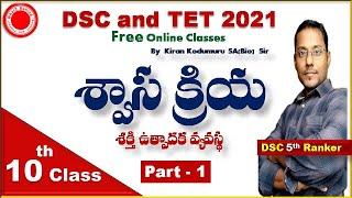 Respiration  #1  DSC or TRT SABiologyTETSGT best free  Online ClassesKiran Kodumuru