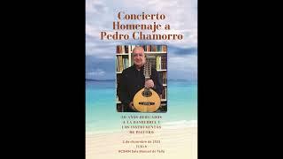 35 Concierto Homenaje a Pedro Chamorro - Ensemble del CPM Guitarrista José Tomás de Alicante