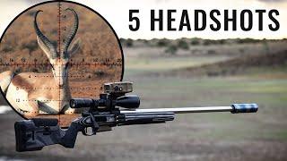 Springbuck Season Opener Epic Headshot Harvest