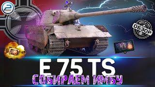 ОБЗОР E 75 TS  СБОРКА ДЛЯ ИМБЫ  Полевая модернизация и оборудование E 75 TS WoT  World of Tanks