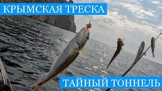 Крымская ТРЕСКА и тайный ТОННЕЛЬ к морю в Балаклаве Первые синие окуни в последний теплые дни