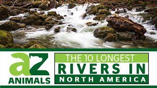 Discover The 10 Longest Rivers in North America