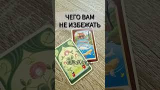  ЧЕГО ВАМ НЕ ИЗБЕЖАТЬ? #shorts tarot reading