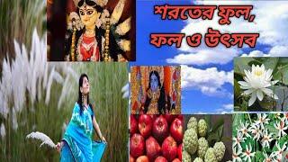 শরতের ফুল ফল ও উৎসব কি কি ? একটিবার দেখলেই মুখস্থ হয়ে যাবে ।।