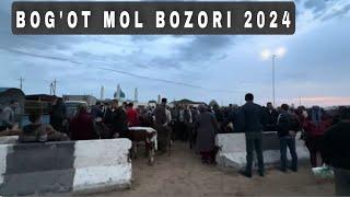 Bogot Mol Bozori 8 мая 2024 г.