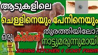 ആടിന് ചെള്ളും  പേനും ഓടാൻ ഒരു sooper നാടൻ മരുന്ന് treatment for lice in goat