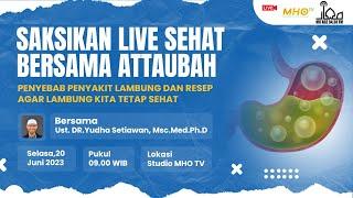 SEHAT BERSAMA ATTAUBAH  PENYEBAB PENYAKIT LAMBUNG DAN RESEP LAMBUNG KITA TETAP SEHAT 