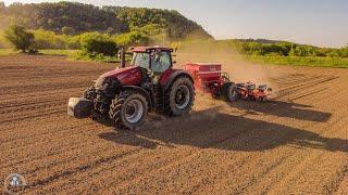 Sejba kukurice 2024 - CASE IH Optum 300 AFS + Horsch Maestro 8.75 CC