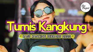 LAGU PESTA BASS KANCING TUMIS KANGKUNG  REMIX TERBARU 2023