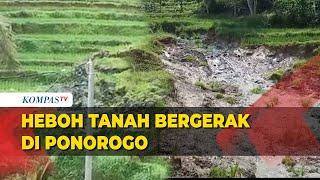 Menggemparkan Ponorogo Fenomena Tanah Bergerak di Tengah Sawah