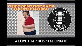 A Love Tiger Hospital Update  The Mike Calta Show
