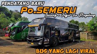 BUS YANG LAGI VIRAL⁉️ PO. SEMERU PENDATANG BARU DI JALUR PARUNG - JOGJA VIA MAGELANG⁉️