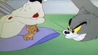 Tom and Jerry Jerry bites Toms nose and hits his foot with a HAMMER