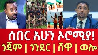 ሰበር መረጃ- ሰበር አሁን ኦሮሚያ - ጎጃም  ጎንደር  ወሎ  Ethiopia  Ethiopian News September 8 2024  Ethiopian