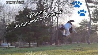 Туториал на высокий прыжок с толчком #квадробика #туториал