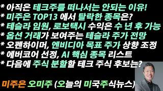 오늘의 미국주식뉴스 미주은 TOP13 에서 탈락한 종목은  테슬라 로보택시 수익은 수 년 후 가능  옵션 거래가 보여주는 테슬라 주가 전망  엔비디아 목표 주가 상향 조정