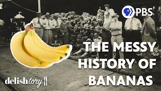 How Did the Banana Become the World’s Most Popular Fruit?  Delishtory