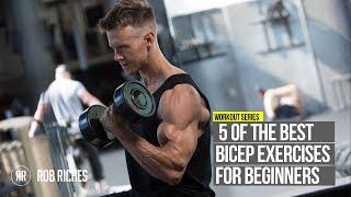 5 Beginner Bicep Exercises  Rob Riches