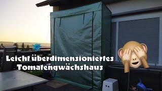 Neues überdimensioniertes Tomatengewächshaus aufbauen und Erdbeeren anpflanzen #vlog