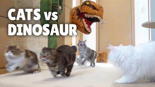 Cats vs Dinosaur  Kittisaurus