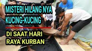 BIKIN MERINDING..KEMANAKAH HILANG NYA KUCING DI SAAT HARI RAYA KURBAN