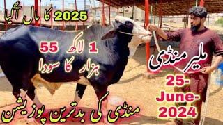 Malir Mandi Cattle Rates Update 25-June-2024  2025 Ka Mal Agya Malir Mandi Update Cow Mandi 2025