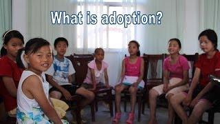 What Is Adoption?