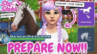 5+ THINGS TO PREPARE FOR HORSE PROGRESSION BREEDING NEW PLAYER CHARACTERS & MORE STAR STABLE