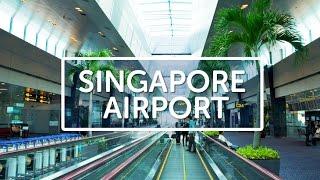 Travellers Guide to Singapore Airport  Cover-More Travel Insurance