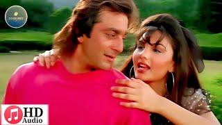 Dil To Khoya Hai  Andolan 1995 Kumar Shanu & Alka Yagnik  Nadeem-Shravan Sameer  Sanjay Dutt 