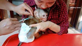 Day Five Mom Take Donal To Vet Monkey Donal Cry When Waiting Vet