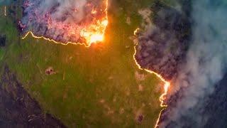 The Tragedy Of Deforestation  Climate Change The Facts  BBC Earth