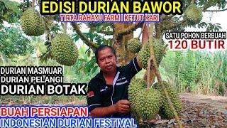 Bawor Edition1 Pohon Berbuah 120 Butir Durian Masmuar Pelangi Gundul