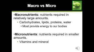 Quick Guide to Macros Macronutrients