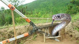 Awesome quick Snake trap make from scissors in front of hole