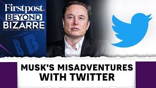 Twitter Logo Change Elon Musks Love Affair With Doge  Beyond Bizarre