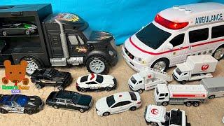 White Ambulance VS Black Car Carrier ... & Stories about Diecast Cars 【Kumas Bear Kids】