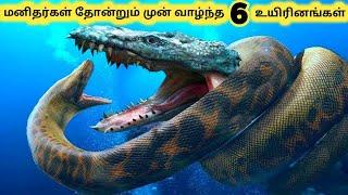 அழிந்துபோன உயிரினங்கள்  Six Oldest Dinosaur Fossil Discoveries  Tamil Info Share