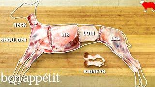 How to Butcher an Entire Lamb Every Cut of Meat Explained  Handcrafted  Bon Appetit