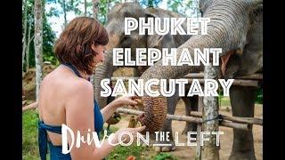 Phuket Elephant Sanctuary Tour