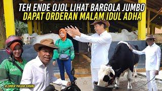 TEH ENDE OJOL LIHAT SI BARGOLA JUMBO BERBOBOT 1 TON  DAPAT ORDERAN MALAM IDUL ADHA