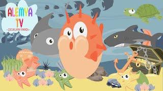 Who is under the sea?Colorful childrens song animation