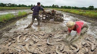 Unique Fishing Technique Tool - Find & Catfish Underground Secret in Cast Jute - Fishing Dry Season