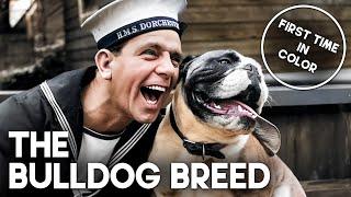 The Bulldog Breed  COLORIZED  Free Classic Film