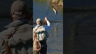 Fly Fishing MONTANA - BIG TROUT - Spring Fly Fishing hatches