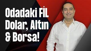 Odadaki FİL - Dolar Altın & Borsa