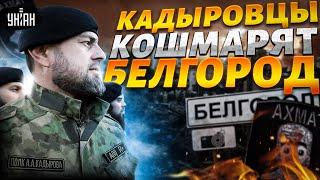 Кадыровцы против россиян в Белгороде АД Рамзан дал отмашку на беспредел